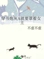novelimage (17)
