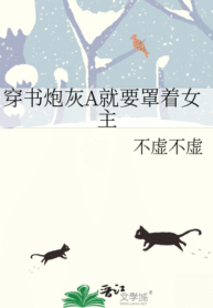 novelimage (17)