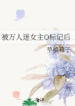 novelimage (22)