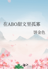 novelimage (26)