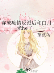 novelimage (27)