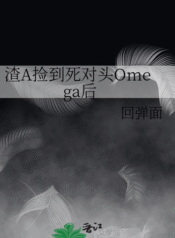 novelimage (30)