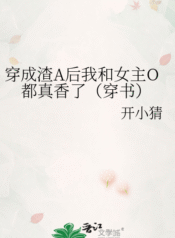 novelimage (1) (12)