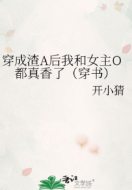 novelimage (1) (12)
