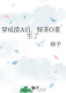 novelimage (1) (15)