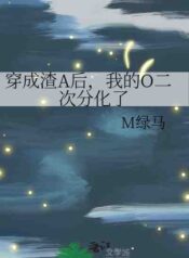 39563