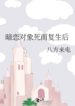 novelimage (13)